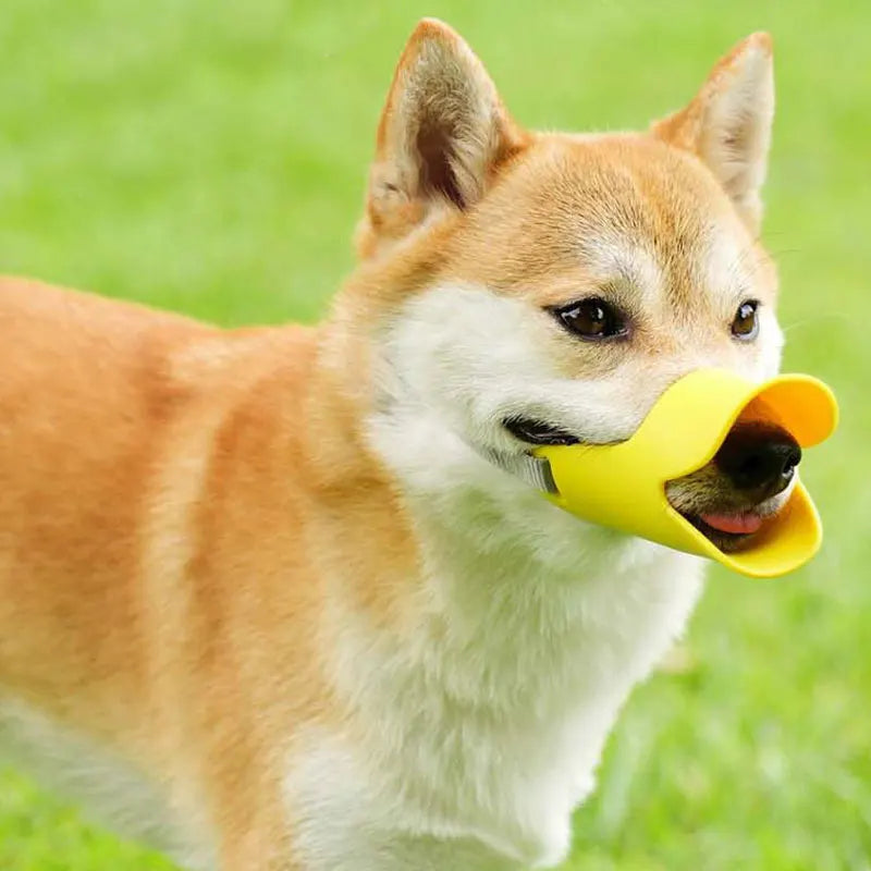 Focinheira de Silicone Anti-Latido para Cachorros "Focinheira de Silicone Anti-Latido para Cachorros"