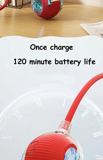 Bola Elétrica Interativa para Gatos