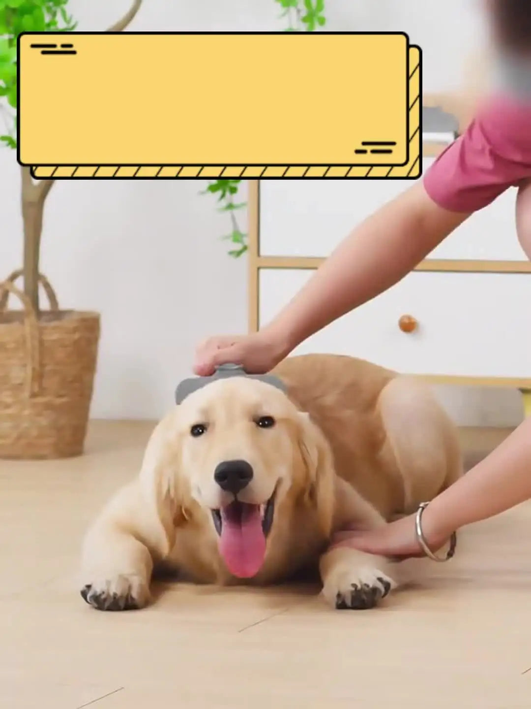 Removedor de Pelos Premium