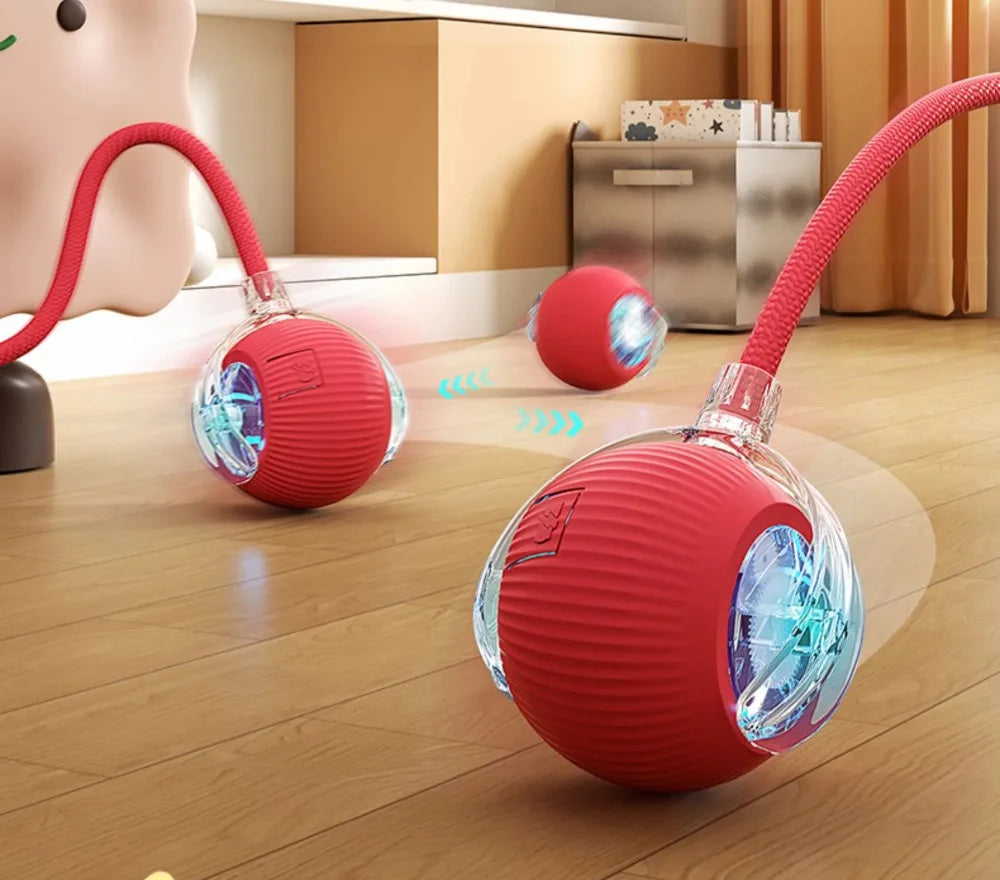 Bola Elétrica Interativa para Gatos