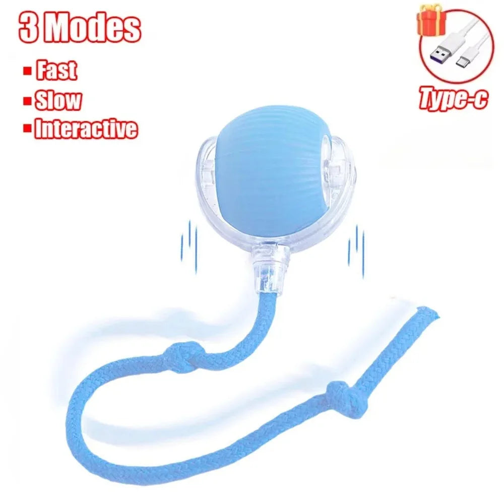 Bola Elétrica Interativa para Gatos