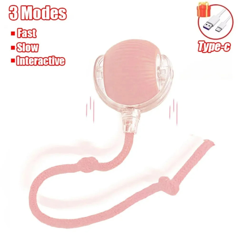 Bola Elétrica Interativa para Gatos