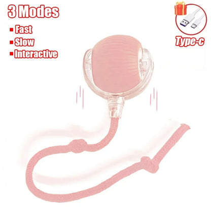 Bola Elétrica Interativa para Gatos