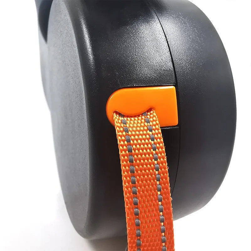 Guia Dupla Anti-Emaranhado com LED para Passeio Seguro