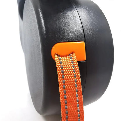 Guia Dupla Anti-Emaranhado com LED para Passeio Seguro