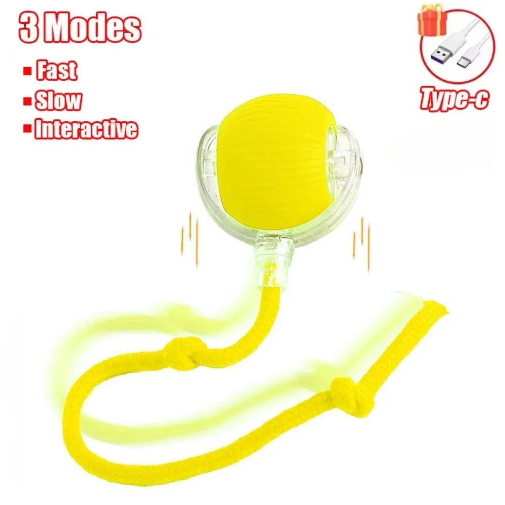 Bola Elétrica Interativa para Gatos